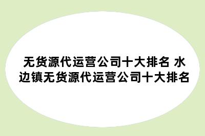 无货源代运营公司十大排名 水边镇无货源代运营公司十大排名
